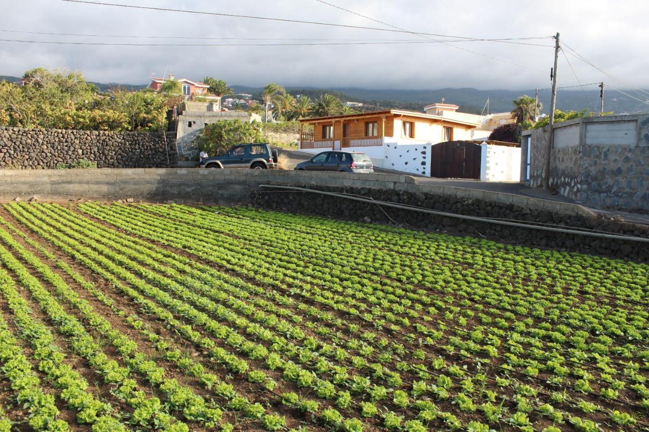 Chalet Las Vinas Villa Icod de los Vinos Kültér fotó